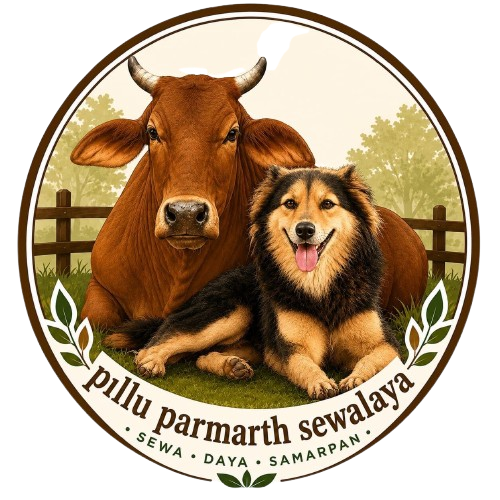 pilluparmarthsewalaya.com